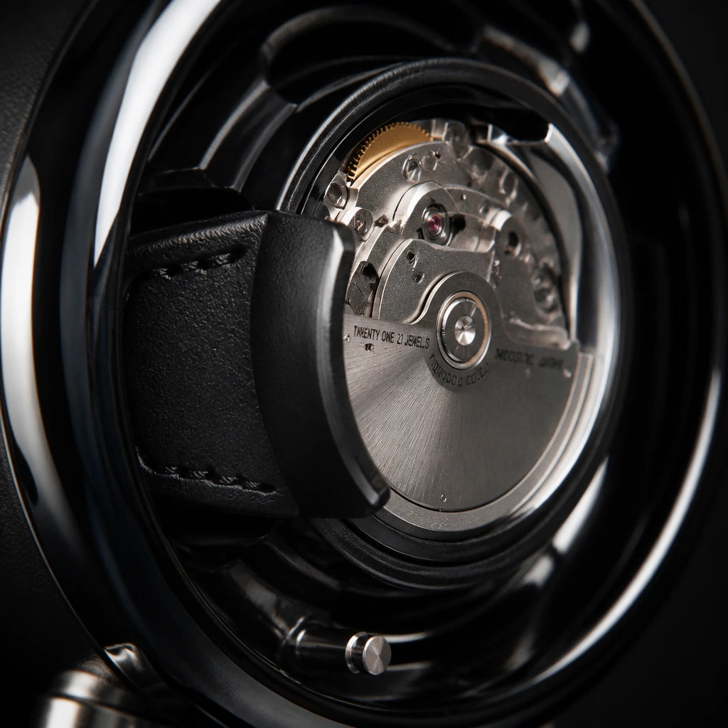 Remontoir Automatique pour 6 Montres | Le Regent